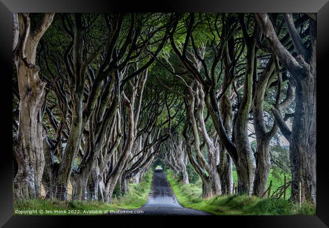 The Dark Hedges of Northern Ireland Framed Print by Jim Monk