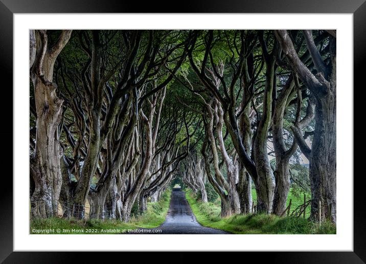 The Dark Hedges of Northern Ireland Framed Mounted Print by Jim Monk