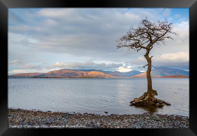 Milarrochy Bay, Loch Lomond  Framed Print by Jim Monk