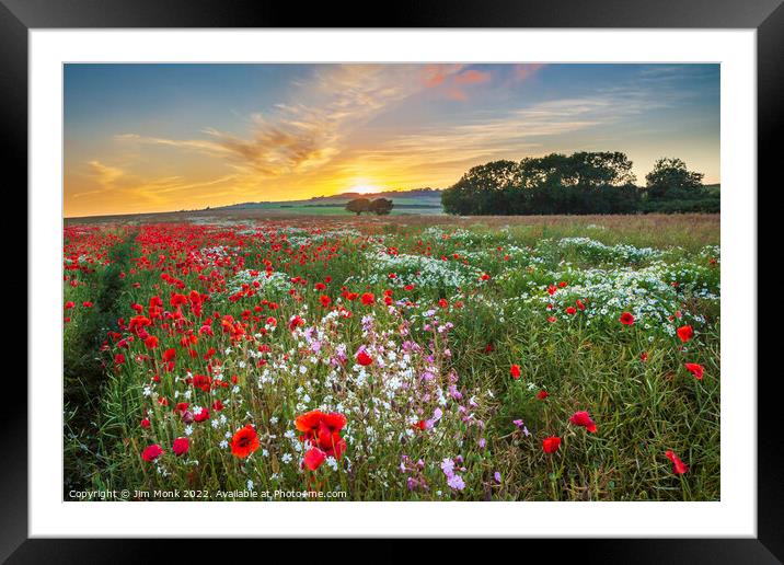Arreton Poppies, Isle of Wight Framed Mounted Print by Jim Monk