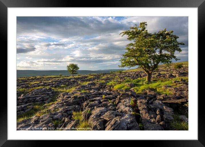 Ribblesdale Framed Mounted Print by Jim Monk