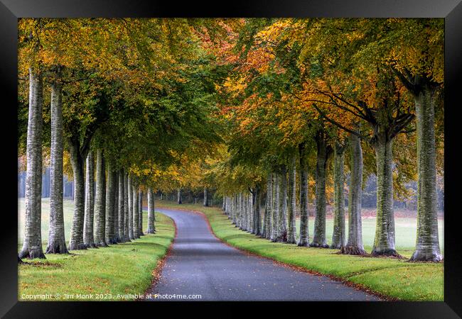 The Enchanted Beech Avenue Framed Print by Jim Monk