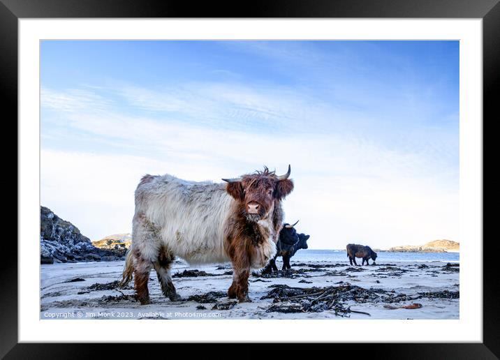 Bosta Beach Cows Framed Mounted Print by Jim Monk