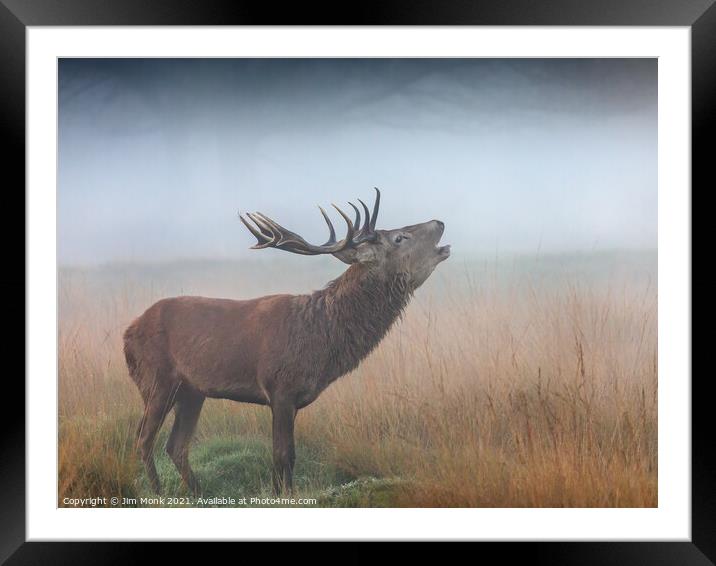 Red Deer Stag bellowing in the mist Framed Mounted Print by Jim Monk