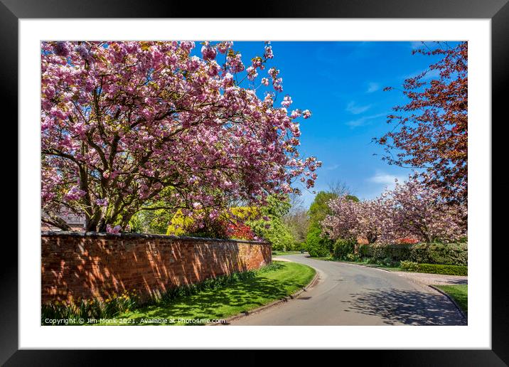 Springtime Trees in Blossom Framed Mounted Print by Jim Monk
