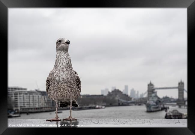 Gull's Eye View of London Framed Print by Jim Monk