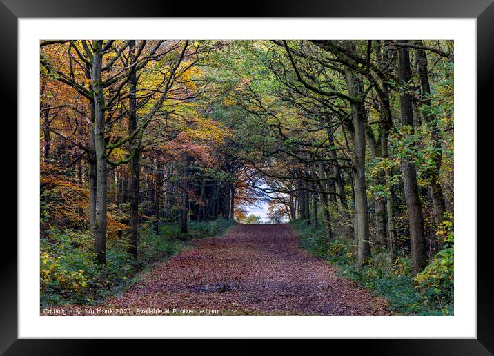Woodland Path in Leicestershire Framed Mounted Print by Jim Monk