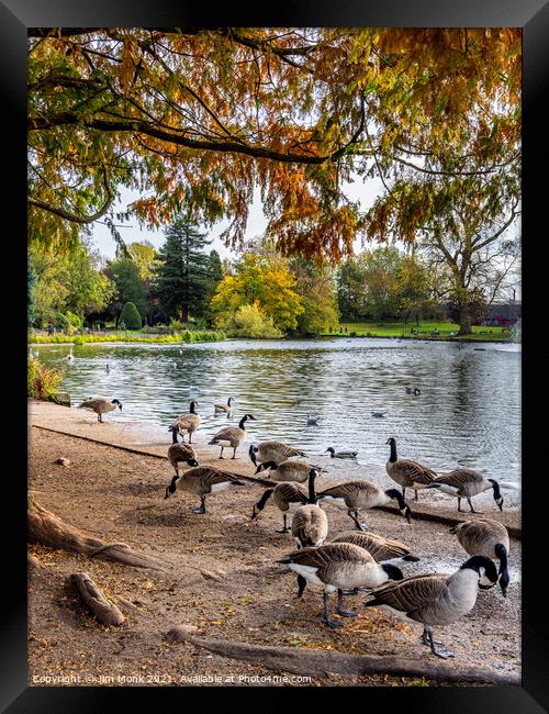  The Boating Lake at Abbey Park in Leicester Framed Print by Jim Monk