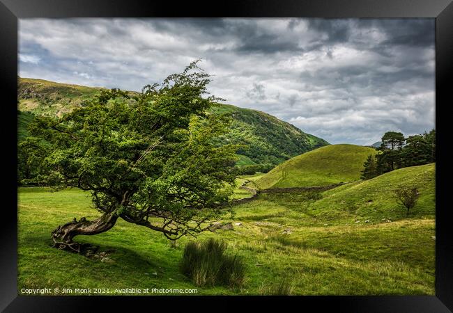 Windswept Tree, Lake District Framed Print by Jim Monk