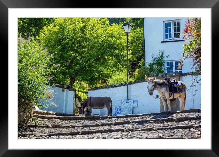Clovelly Donkeys Framed Mounted Print by Jim Monk