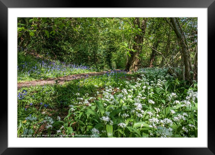 Wild Garlic and Bluebells Framed Mounted Print by Jim Monk