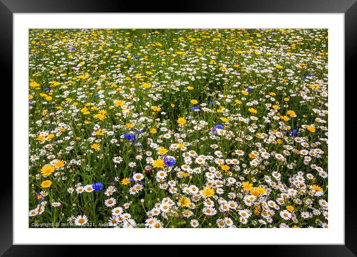 Wildflower Meadow Framed Mounted Print by Jim Monk