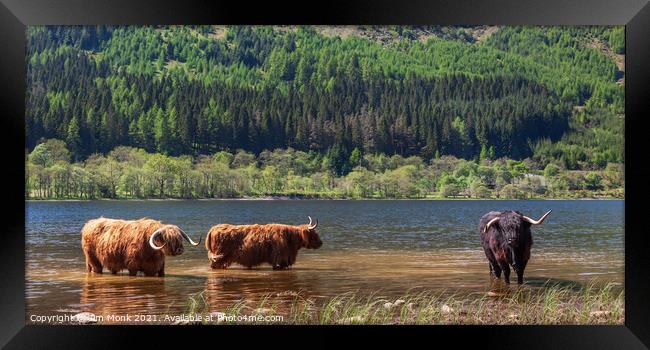 Cooling Off in Loch Lubnaig Framed Print by Jim Monk