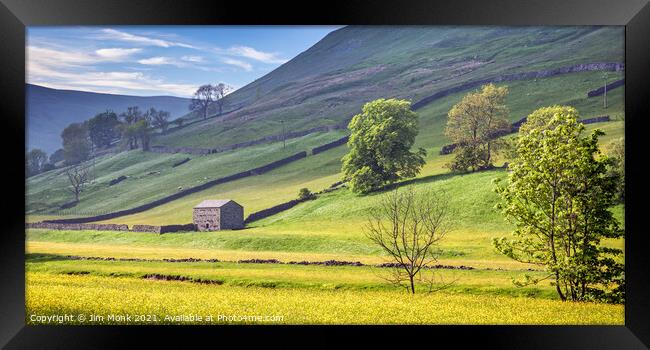 Buttercup Valley, Yorkshire Dales Framed Print by Jim Monk