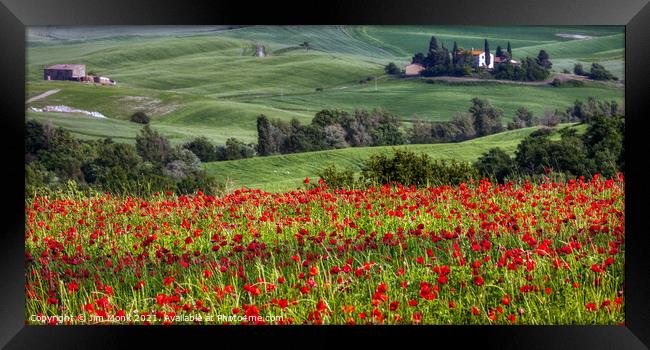 Tuscan Poppy Field Framed Print by Jim Monk