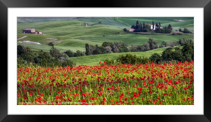 Tuscan Poppy Field Framed Mounted Print by Jim Monk