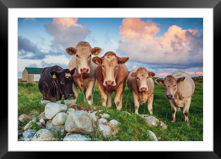 Five Cows Framed Mounted Print by Jim Monk