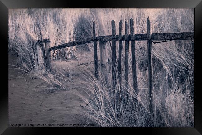 Broken Fence Framed Print by Tony Gaskins