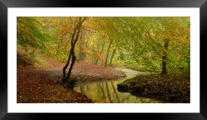 Autumn Colours Framed Mounted Print by Tony Gaskins