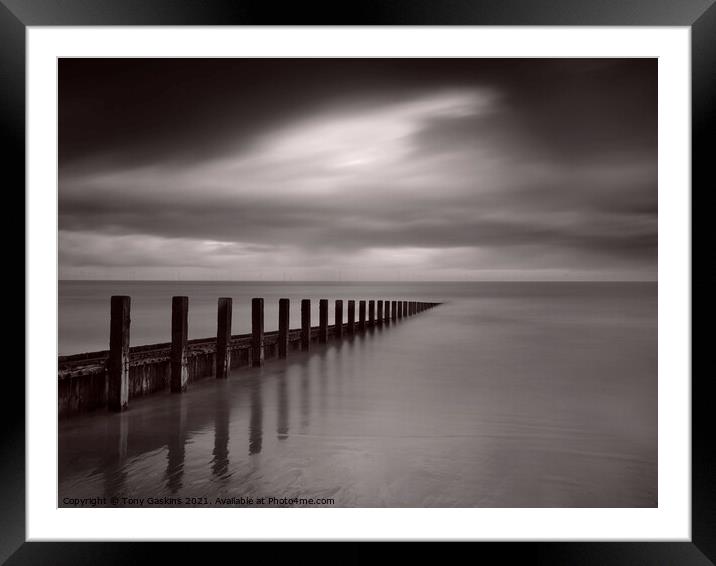 Sea Defenses, Lincolnshire Coast Framed Mounted Print by Tony Gaskins