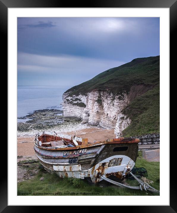 The Springflower, Flamborough Head Framed Mounted Print by Tony Gaskins
