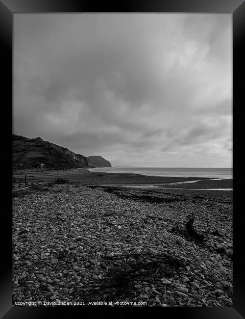 Charmouth Beach  Framed Print by David Bladen