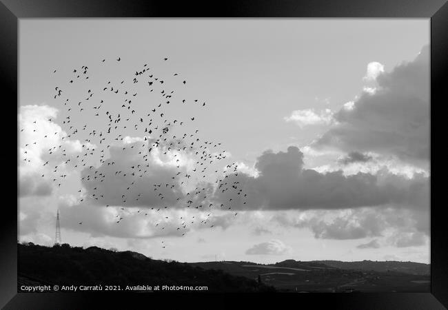 Sky cloud with  flock of birds in Sicily, Serradif Framed Print by Andy Huckleberry Williamson III