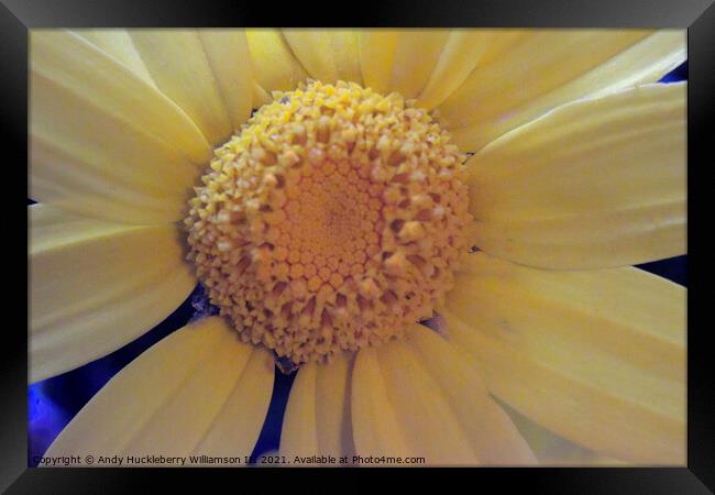 Blurry yellow daisy Framed Print by Andy Huckleberry Williamson III