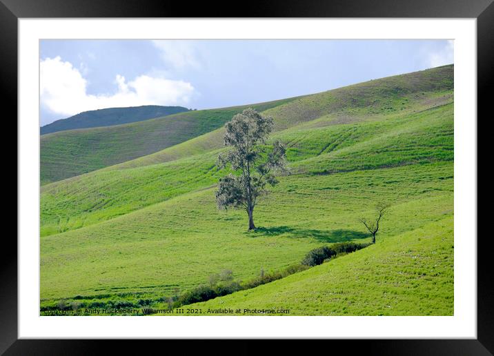 Lonely tree in the Sicilian countryside Framed Mounted Print by Andy Huckleberry Williamson III