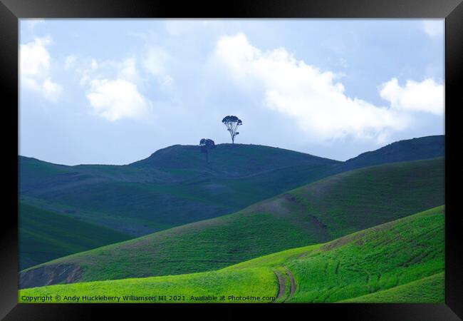 Lonely trees in Sicily, Italy Framed Print by Andy Huckleberry Williamson III