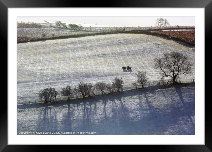 Winters morning. Framed Mounted Print by Glyn Evans