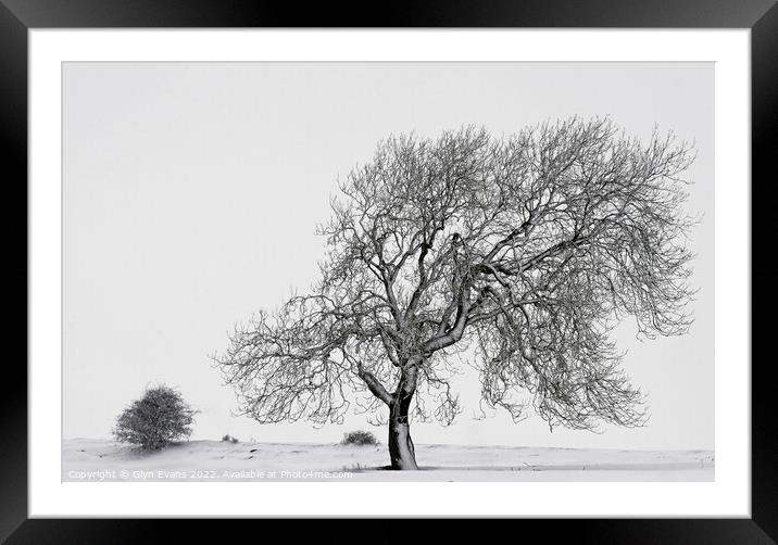 Winter Scene. Framed Mounted Print by Glyn Evans