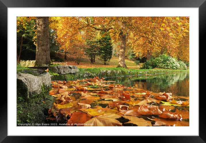 Autumn Leaves Framed Mounted Print by Glyn Evans