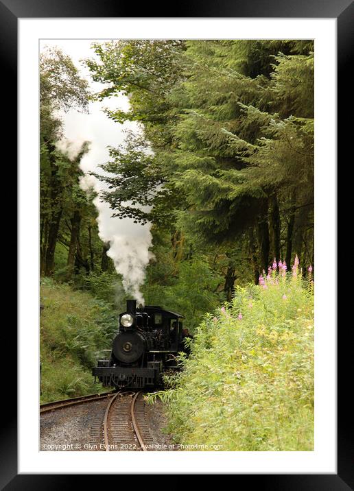 Steaming through the forest. Framed Mounted Print by Glyn Evans