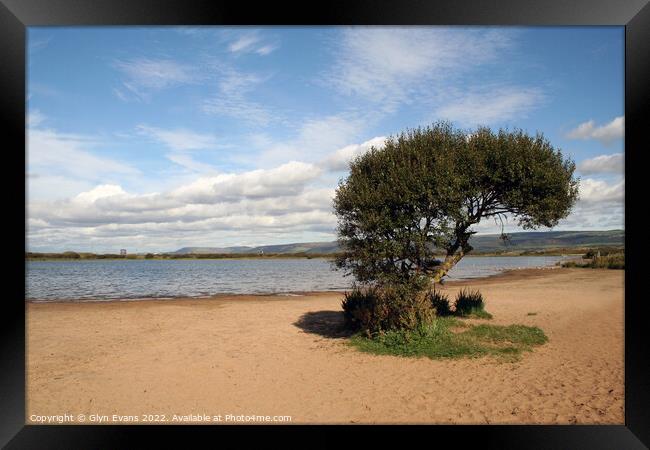 Lone Tree at Kenfig Pool. Framed Print by Glyn Evans