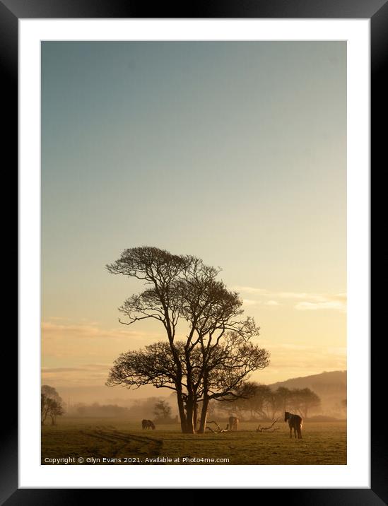 Early morning. Framed Mounted Print by Glyn Evans