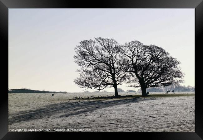 Winters Morning. Framed Print by Glyn Evans