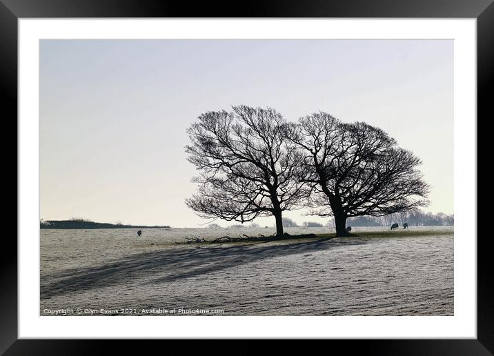 Winters Morning. Framed Mounted Print by Glyn Evans