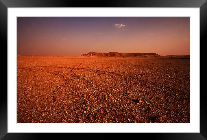 Tracks in the desert Framed Mounted Print by Simon Curtis