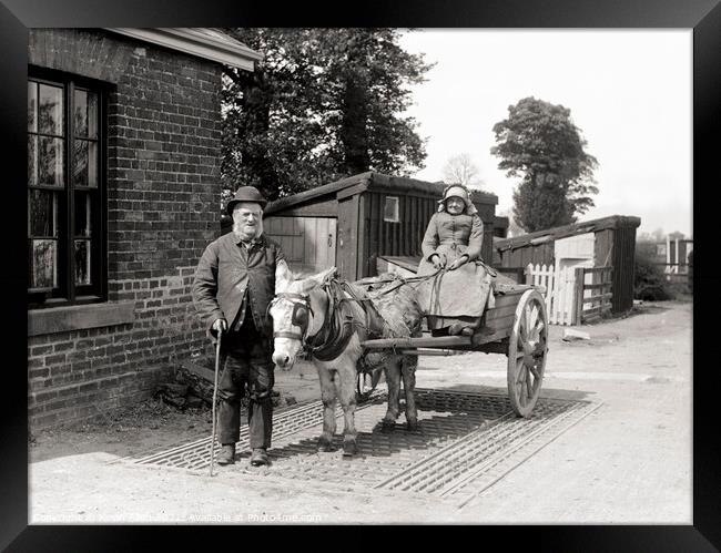 Edwardian Donkey cart at work, original vintage ne Framed Print by Kevin Allen