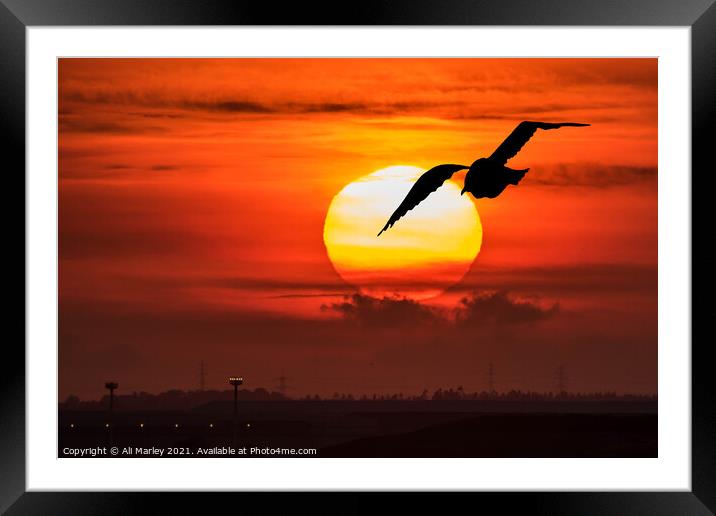 fly by Framed Mounted Print by Ali Marley