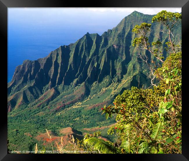 Cliffs at Na Pali coast, Kauai, Hawaii, USA Framed Print by Geraint Tellem ARPS