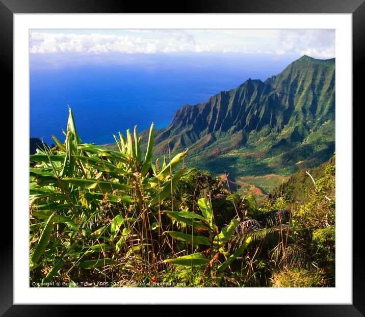 Cliffs at Na Pali coast, Kauai, Hawaii, USA Framed Mounted Print by Geraint Tellem ARPS