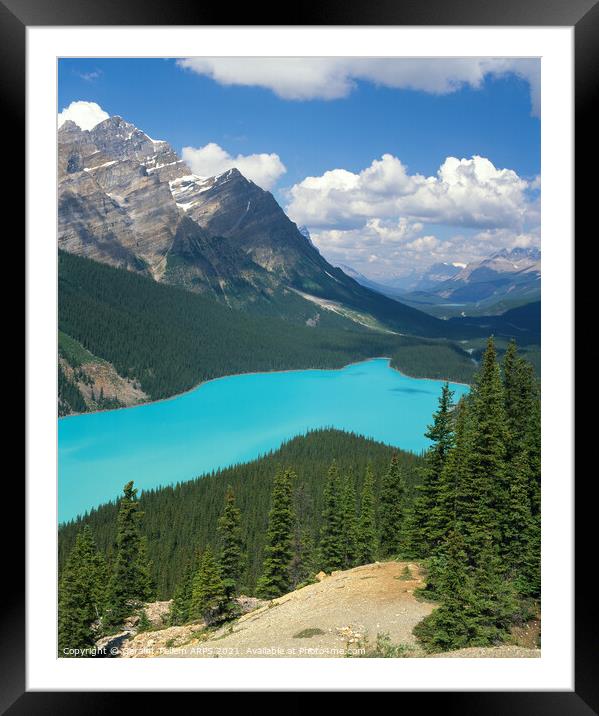 Peyto Lake, Banff National Park, Alberta, Canada Framed Mounted Print by Geraint Tellem ARPS
