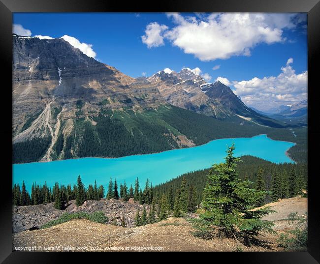 Peyto Lake, Banff National Park, Alberta, Canada Framed Print by Geraint Tellem ARPS