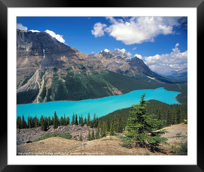 Peyto Lake, Banff National Park, Alberta, Canada Framed Mounted Print by Geraint Tellem ARPS