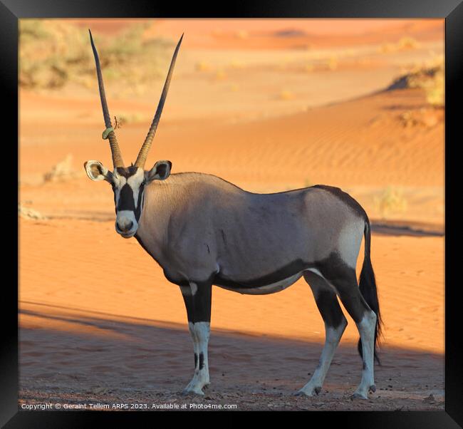 Oryx, Sossusvlei, Namibia, Africa Framed Print by Geraint Tellem ARPS
