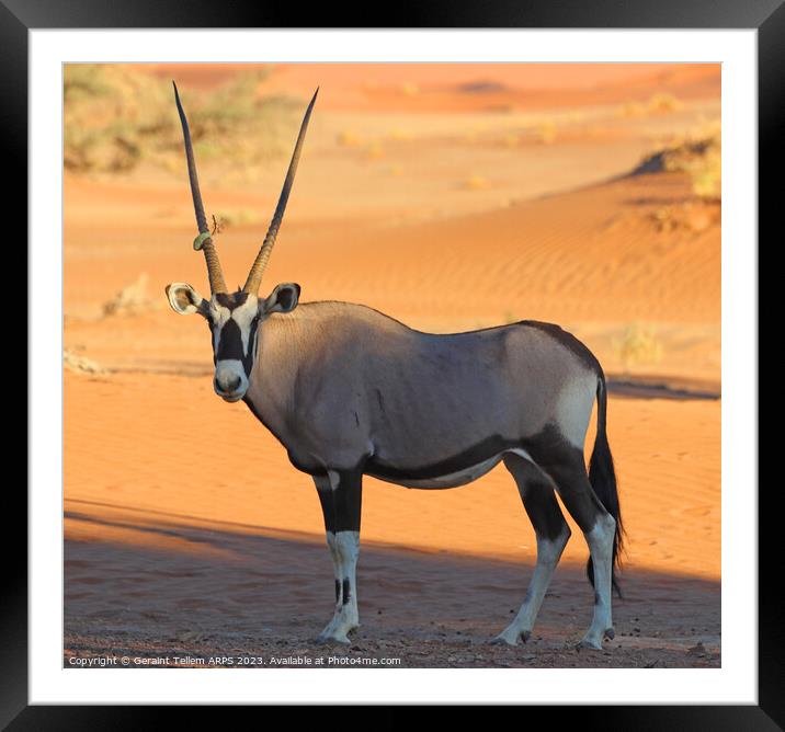 Oryx, Sossusvlei, Namibia, Africa Framed Mounted Print by Geraint Tellem ARPS