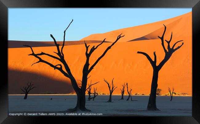 Dead Vlei desiccated trees, Sossusvlei, Namibia, Africa Framed Print by Geraint Tellem ARPS