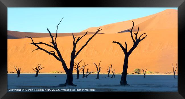 Dead Vlei desiccated trees, Sossusvlei, Namibia, Africa Framed Print by Geraint Tellem ARPS